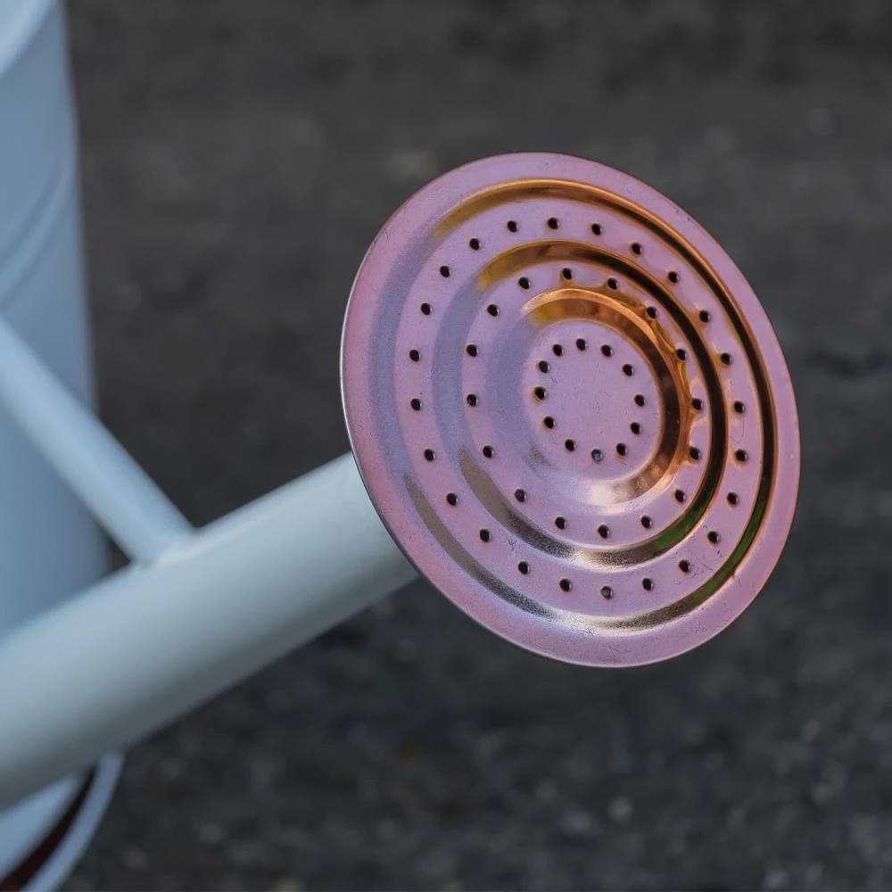 Woodside 9L Metal Garden And Plant Watering Can With Rose - Image 3