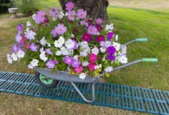 Woodside Instant 3m Roll Out Garden Path/Track Lawn Grass Protector