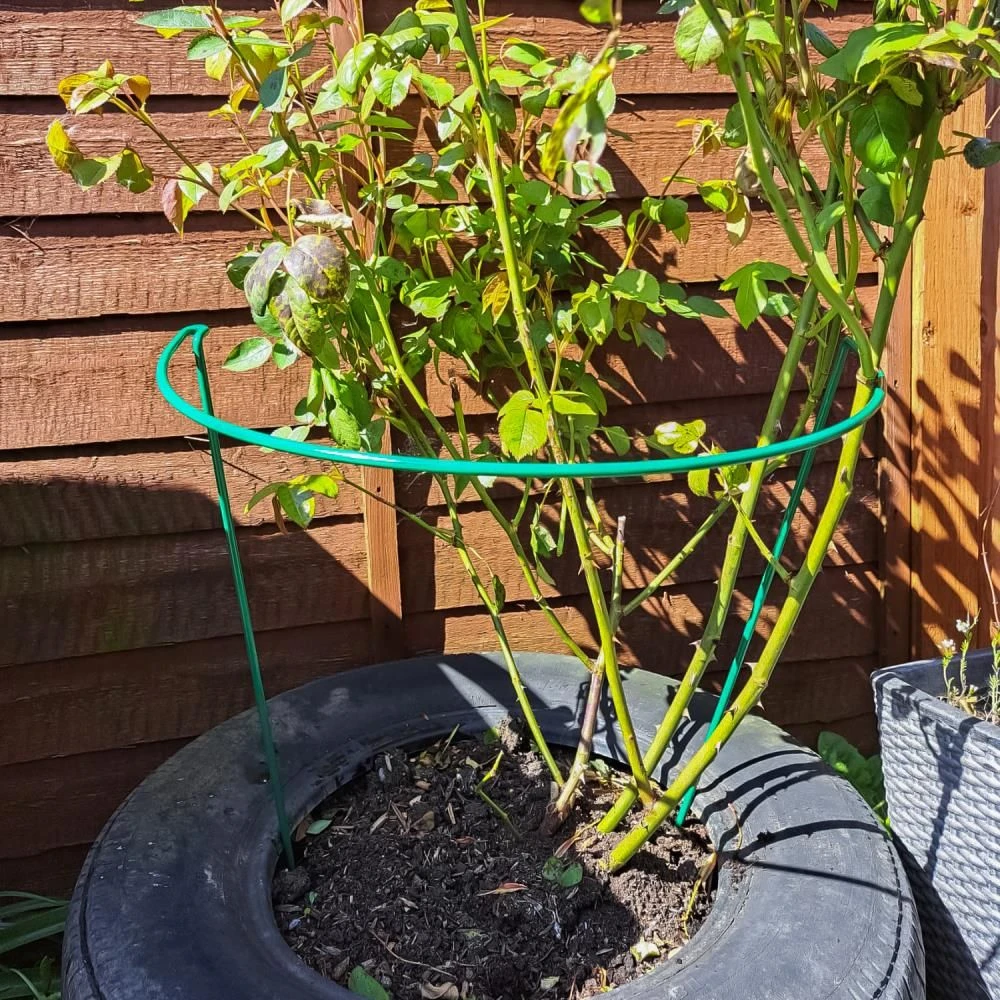 Woodside Steel Garden Plant Support Stakes, Half Round Flower Guard Cage (10 Pack)