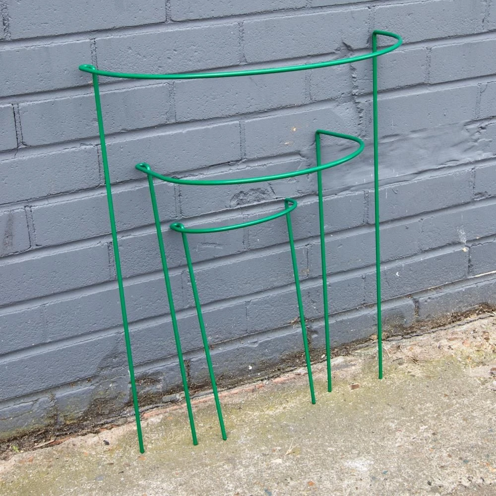Woodside Steel Garden Plant Support Stakes, Half Round Flower Guard Cage (10 Pack) - Image 4