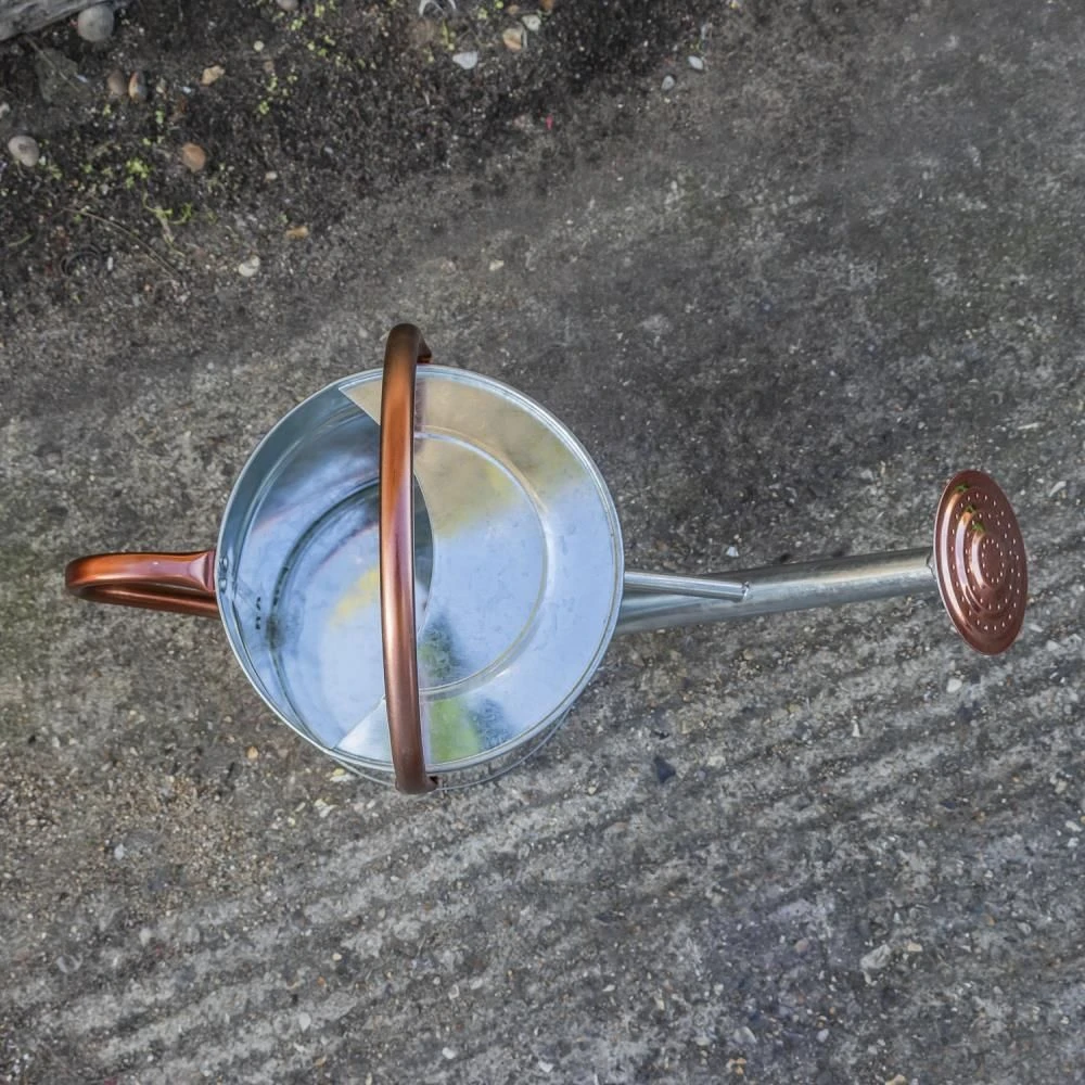 Woodside 9L Metal Garden And Plant Watering Can With Rose - Image 12