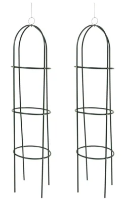 Woodside Irstead Metal Garden Obelisk, Steel Climbing Plant Support Cage, Pack Of 2