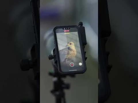 Woodside Waterproof Hunting/Photography BAK4 20-60x80 Spotting Scope + Accessories - Image 2